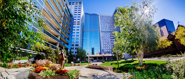 LisenID announces collaboration with Mayo Clinic to advance early cancer diagnostics
